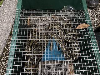 久場川公園予定地２