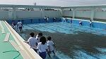５月１９日　プール清掃