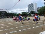 １１月5日　運動会の様子（クラス対抗リレー）です。