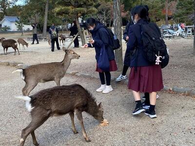 修学旅行１日目♪